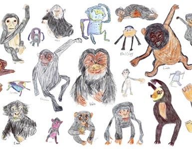 Chimpanzee Community