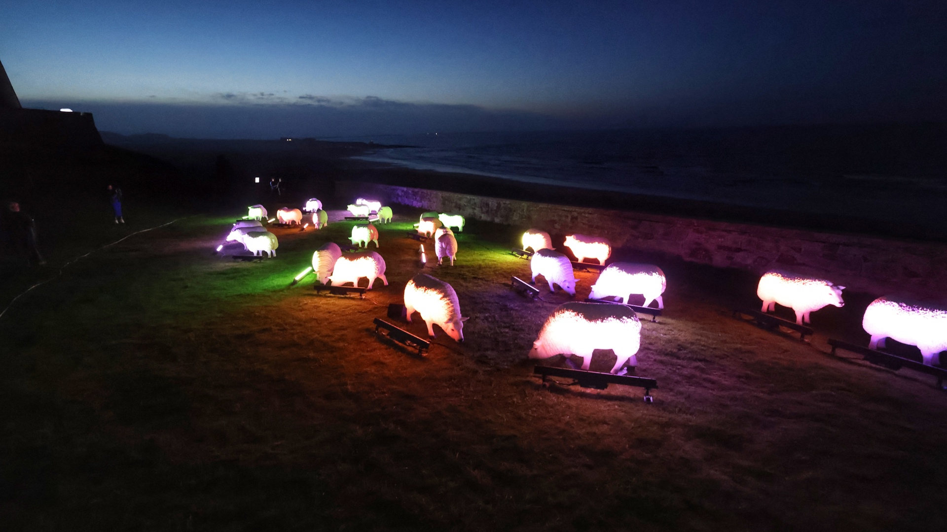 14. Inspired By The Lindisfarne Gospels Illuminated Sheep At Bamburgh Castle Overlooking Lindisfarne