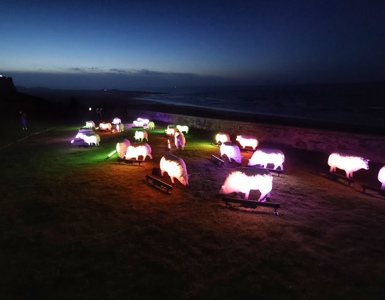 14. Inspired By The Lindisfarne Gospels Illuminated Sheep At Bamburgh Castle Overlooking Lindisfarne